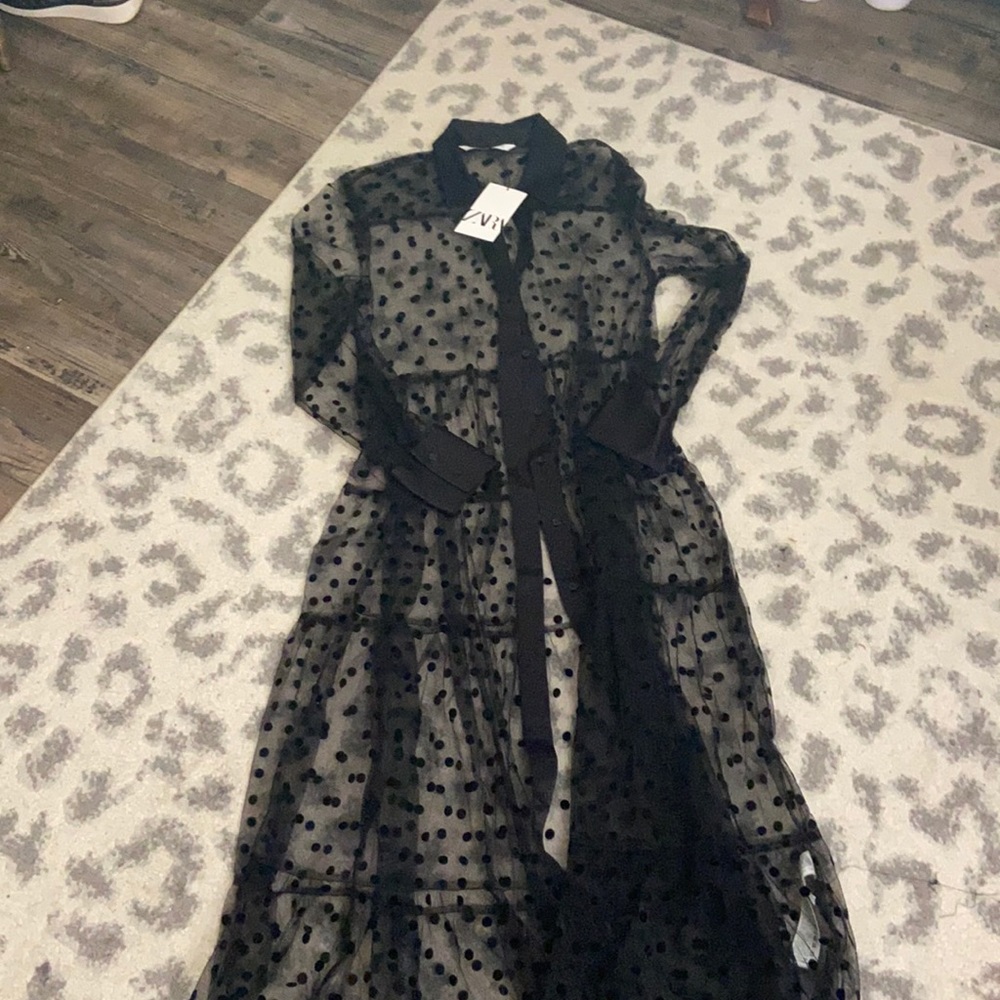 Blogger fav polka dot sheer dress!